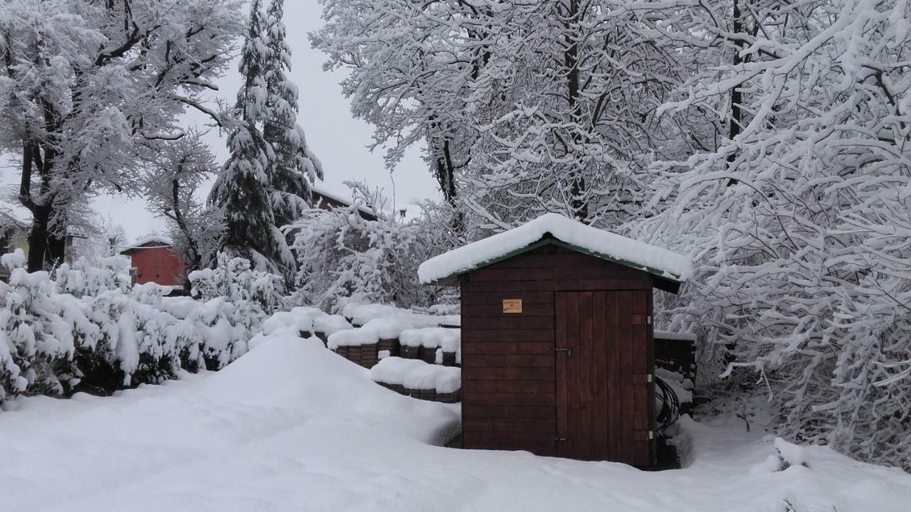 B&B Goccia Savigno Kültér fotó